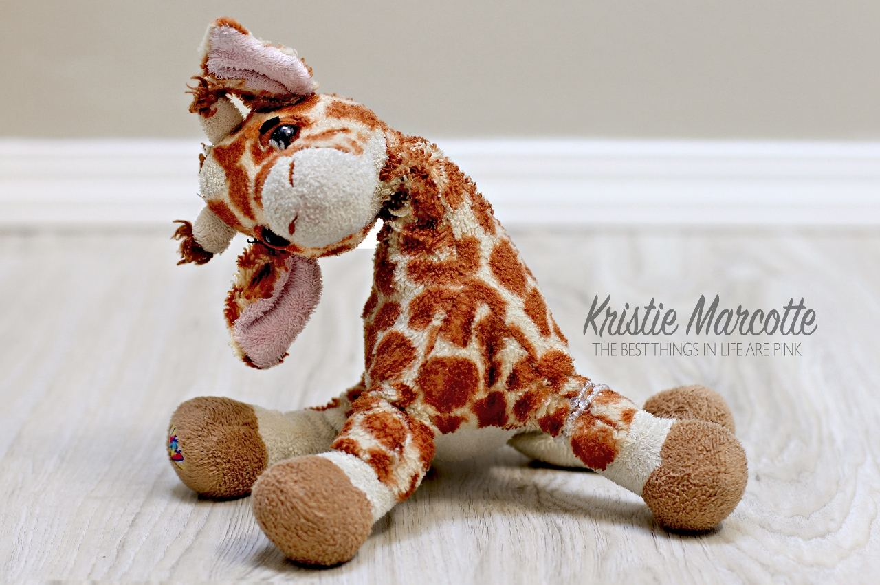 It’s your day, go Wild!