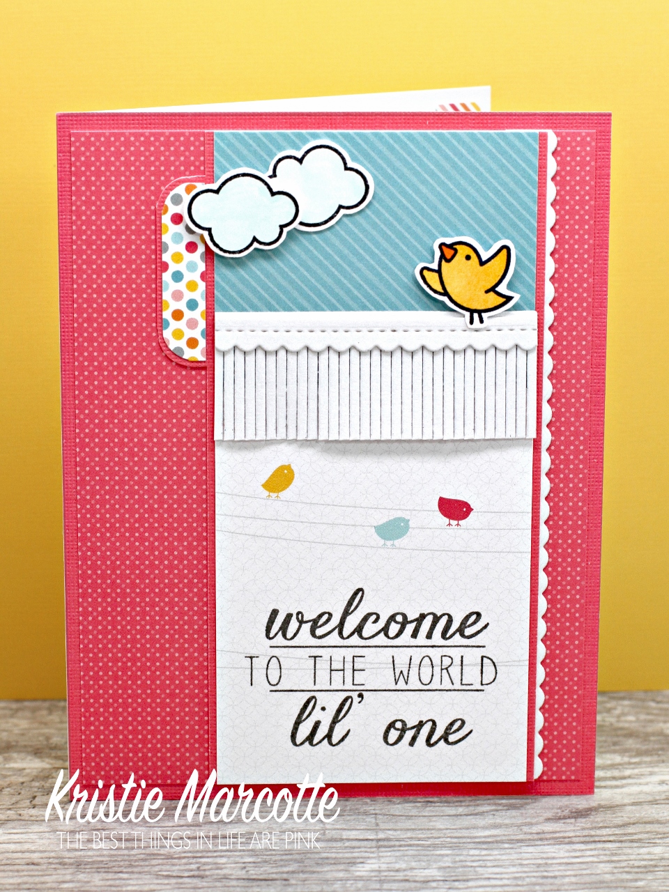 Welcome to the World