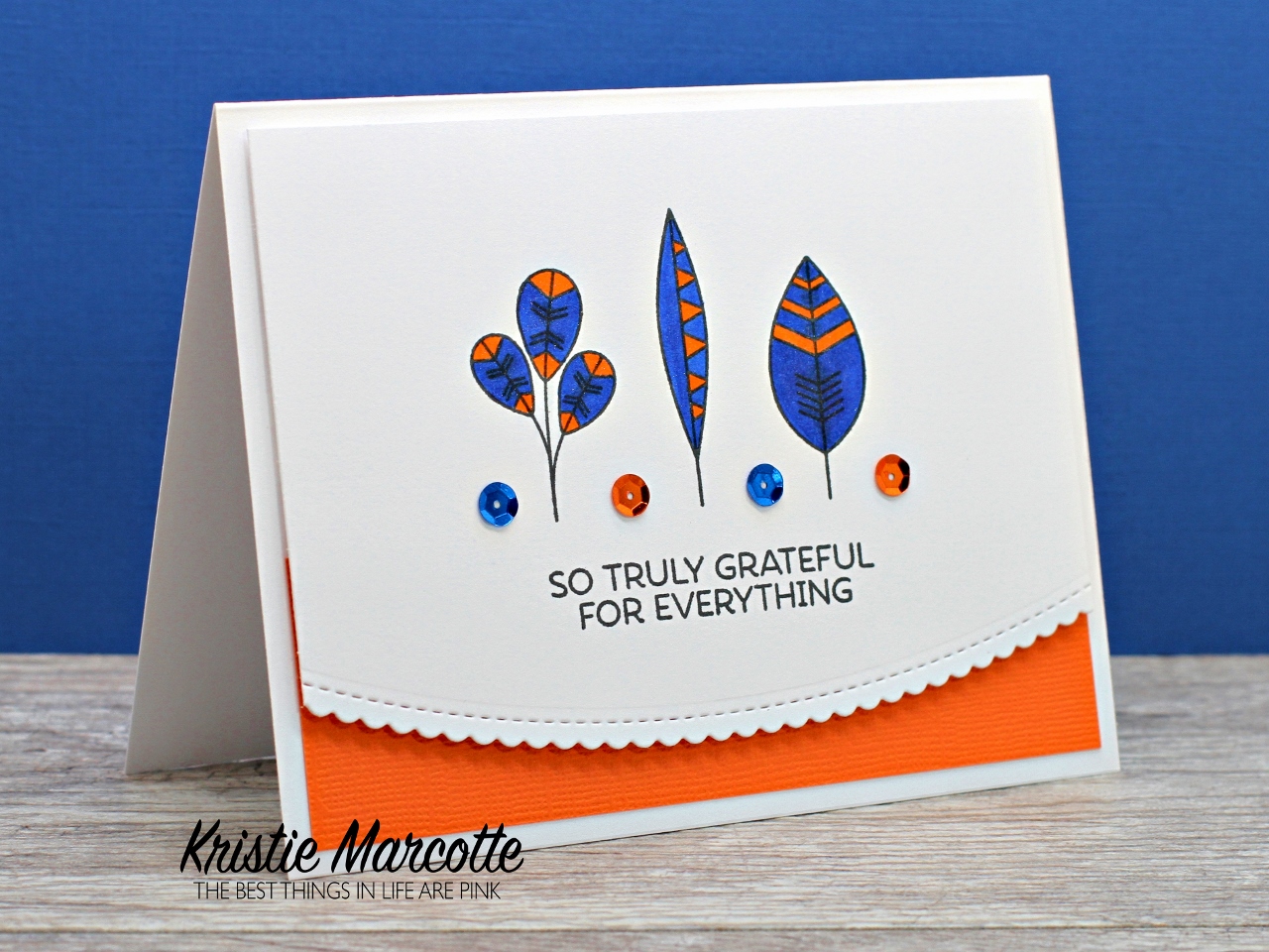 Thank you – Denver Broncos color theme