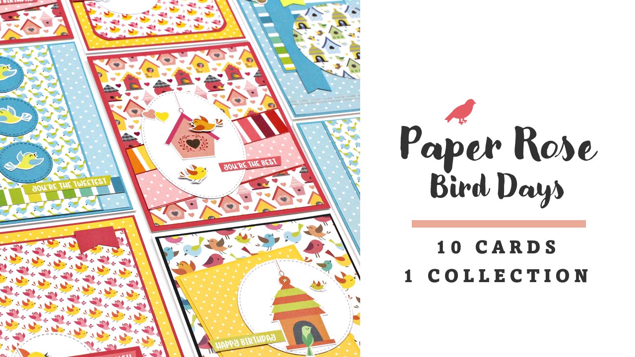 Paper Rose Studio | Bird Days | 10 cards 1 collection