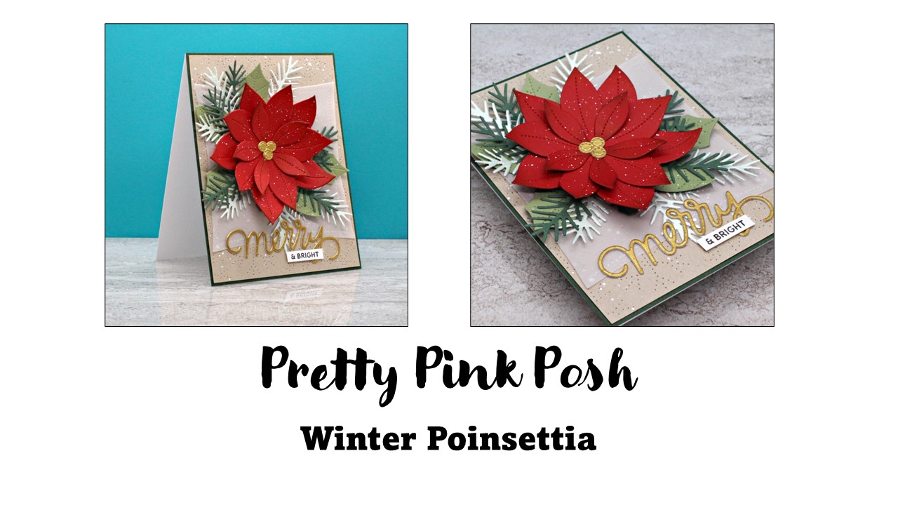 Pretty Pink Posh | Winter Poinsettia
