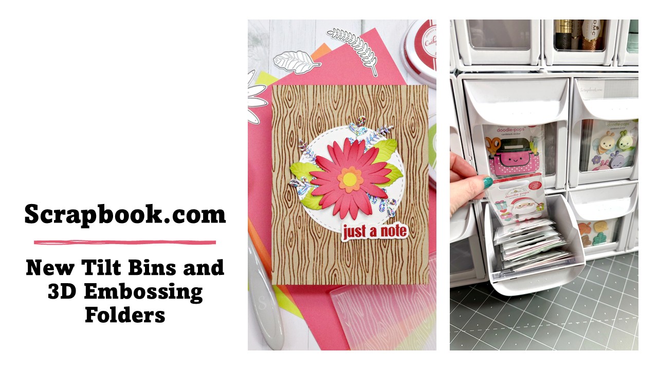 Scrapbook.com | Tilt Bins & Embossing Folders