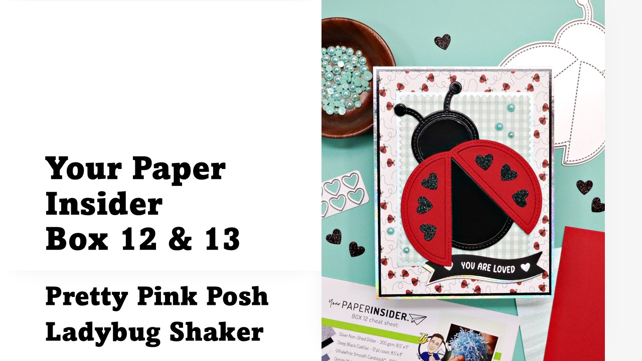 Your Paper Insider | Pretty Pink Posh Ladybug