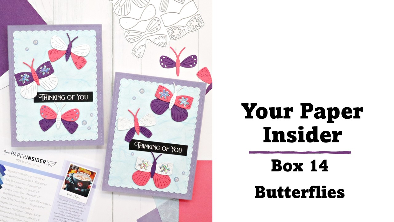 Your Paper Insider | Butterflies