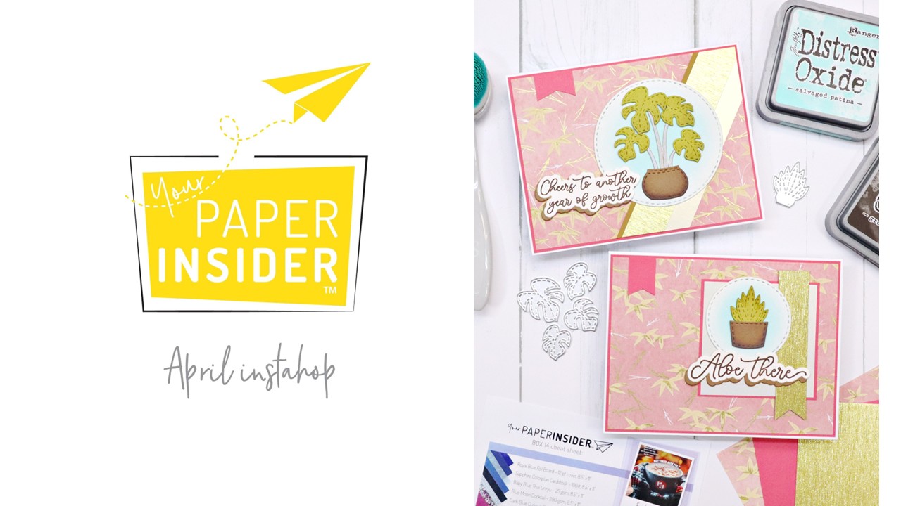 Your Paper Insider | Potted Plants