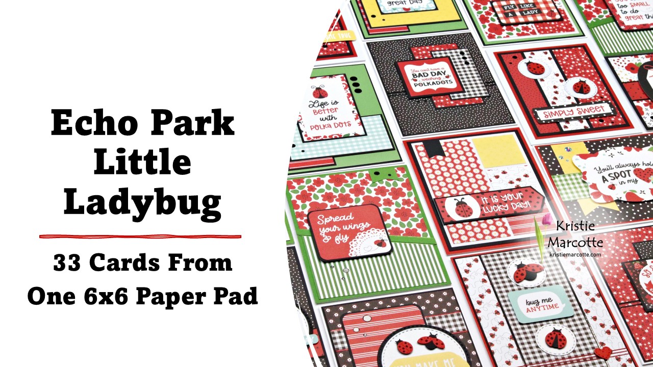 Echo Park | Little Ladybug