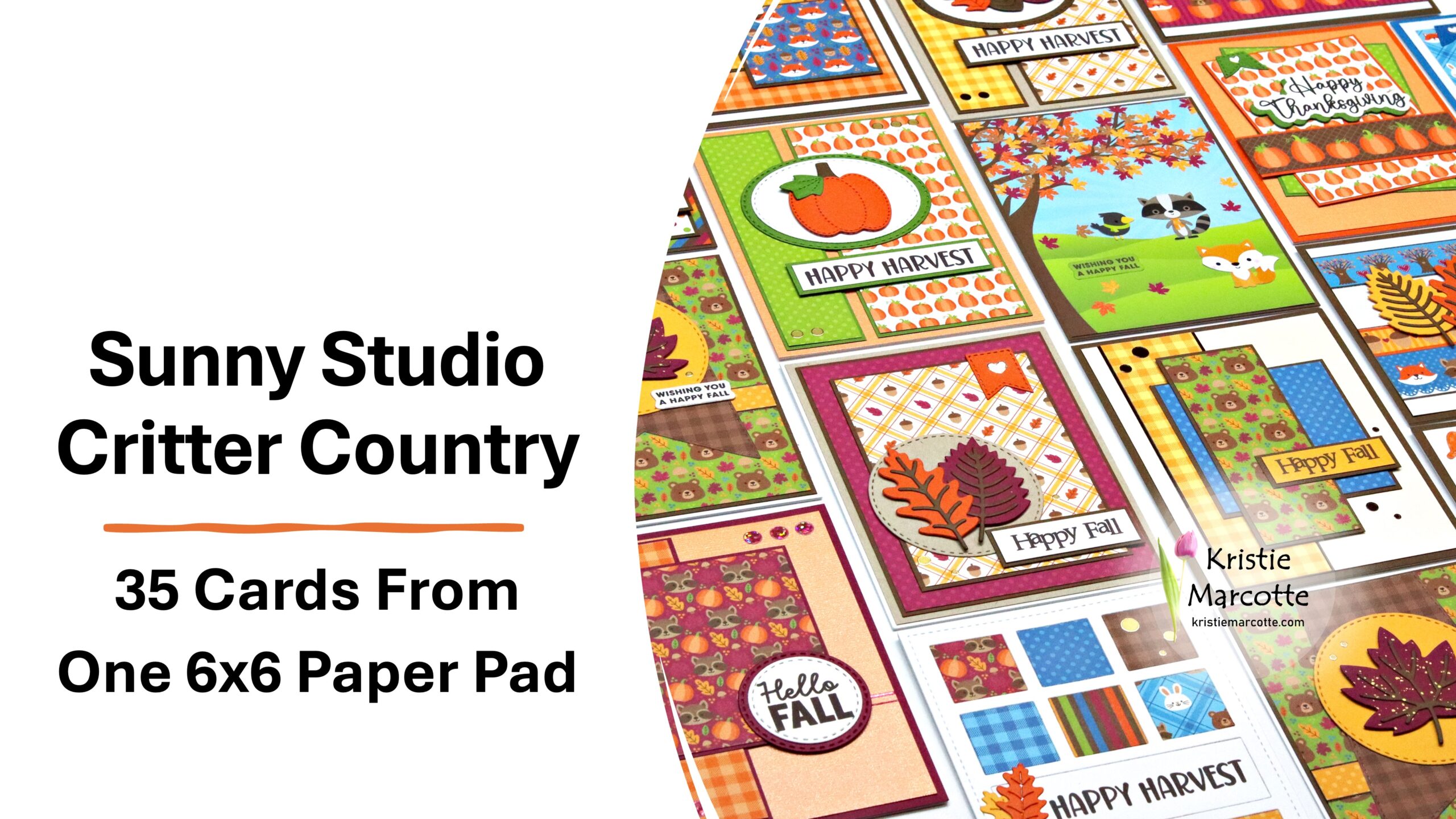 Sunny Studio | Critter Country